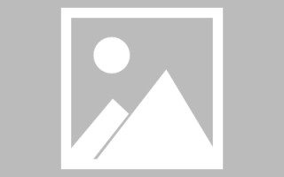洛阳龙江乐从网站建设（乐从和龙江）